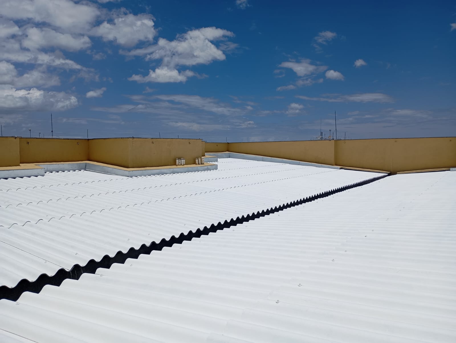 WhatsApp Image 2025-01-17 at 14.27.05 (1).jpeg