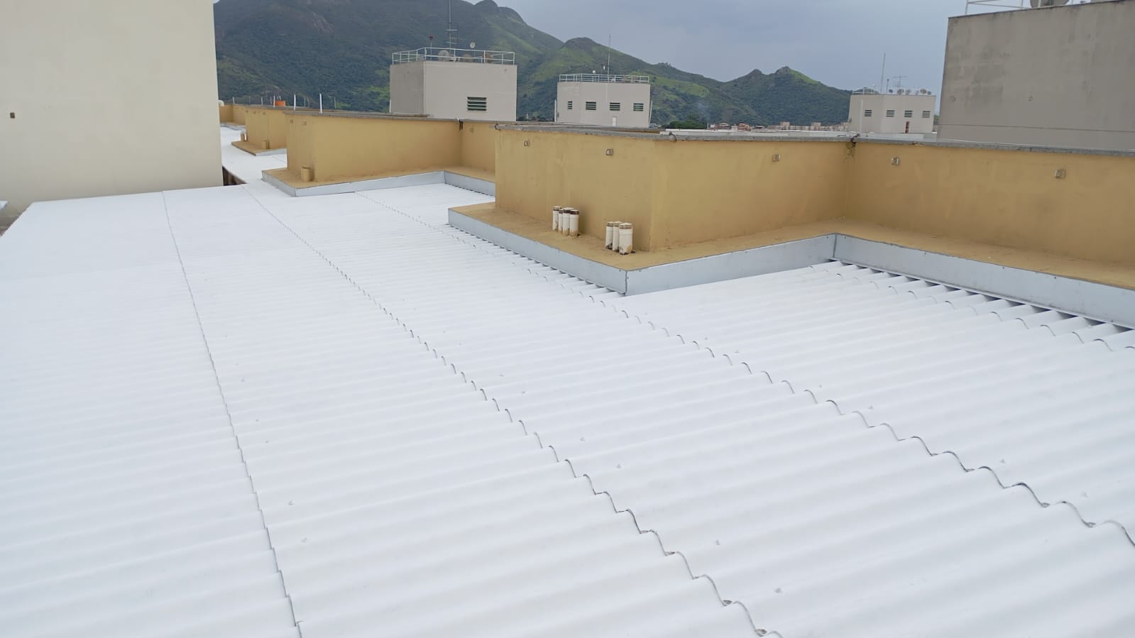 WhatsApp Image 2025-01-17 at 14.27.06.jpeg